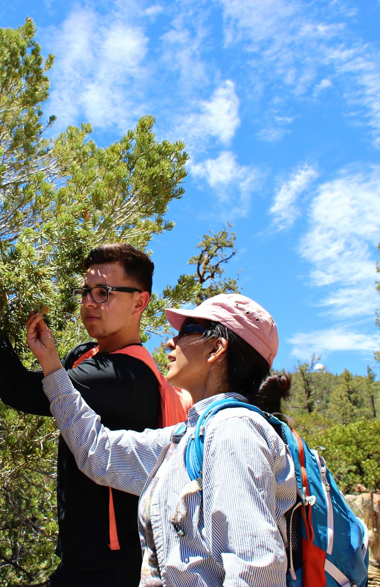 students participating in field research